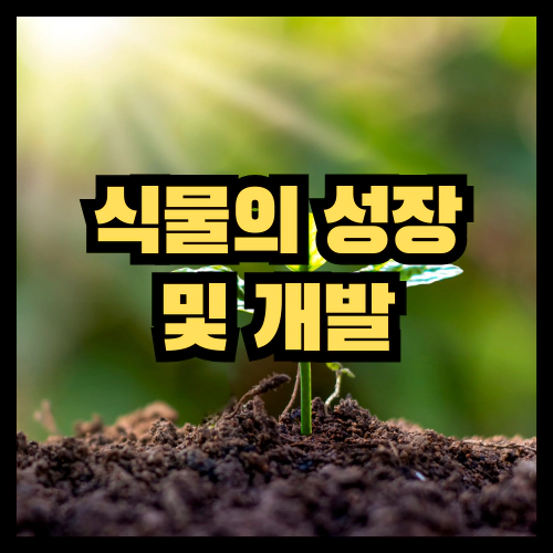 식물의 성장 및 개발
