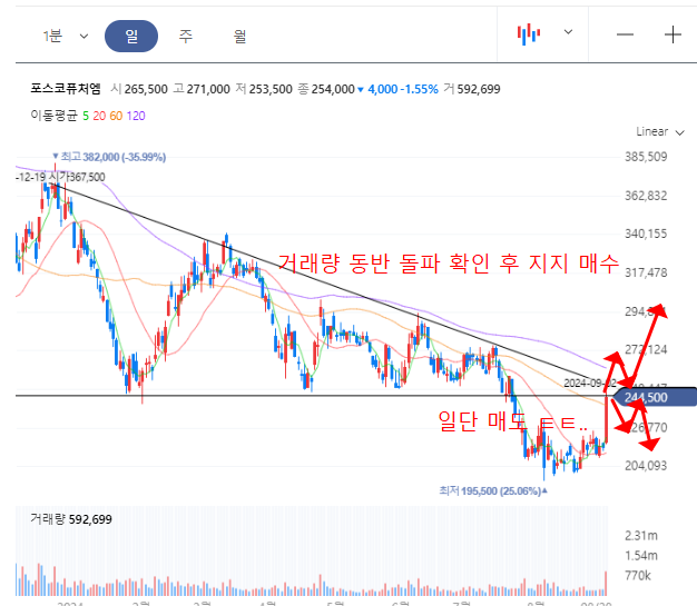포스코퓨처엠 일봉차트