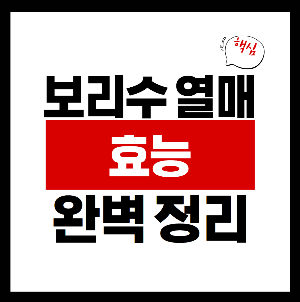보리수 열매 효능