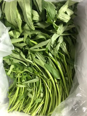 모닝글로리 쇼핑몰 다이어리 달력 수척 필통 추천_5