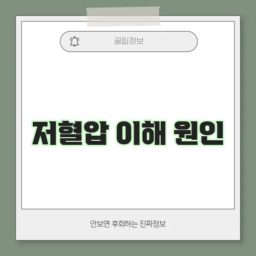 저혈압 이해 원인, 증상, 관리 방법
