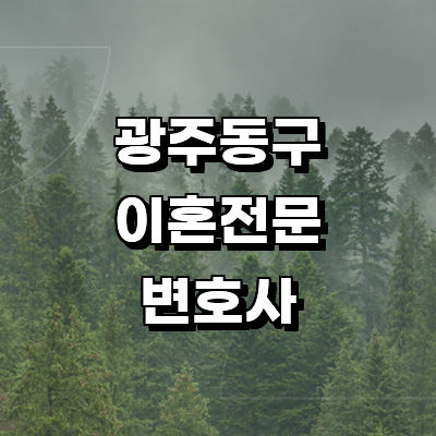 광주 동구 이혼 변호사