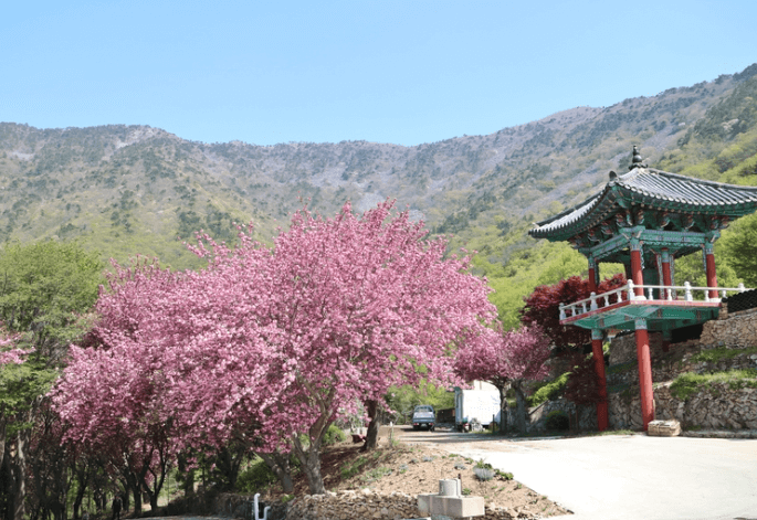 사천청룡사