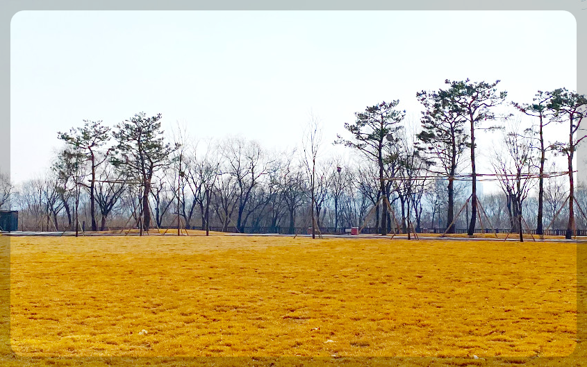 난지 캠핑장 예약 방법