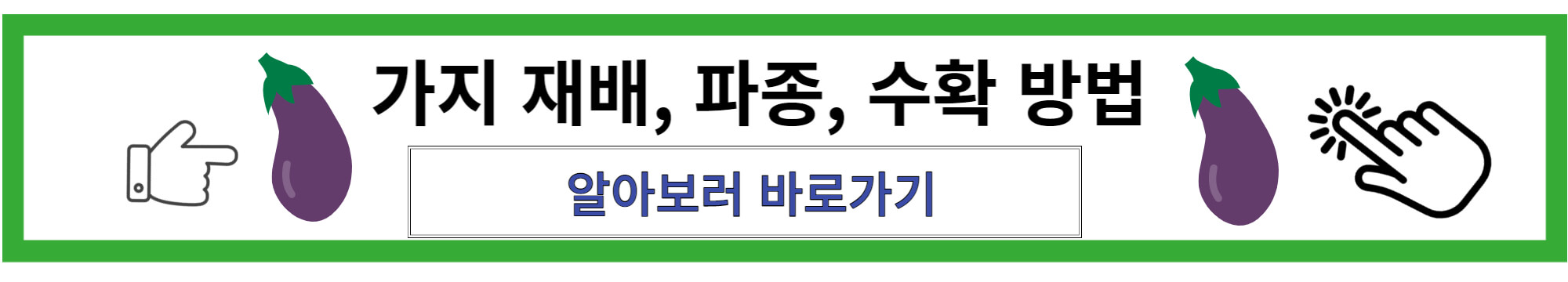 가지 재배 방법