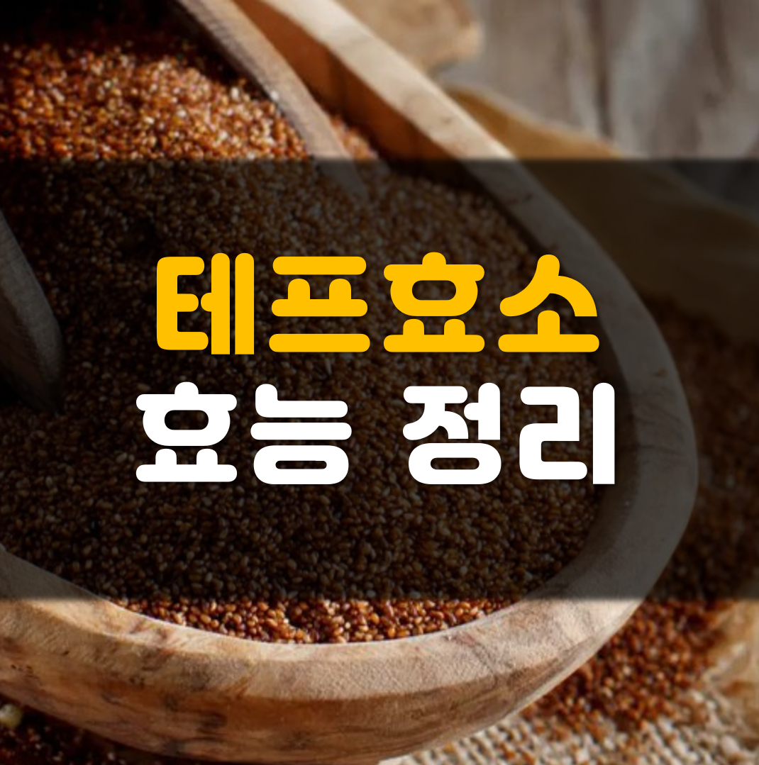 테프효소-효능