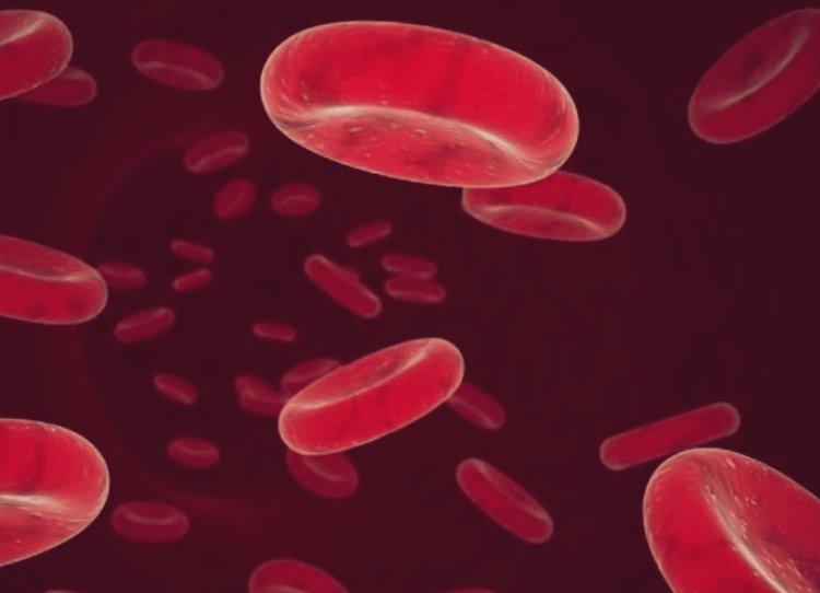 혈액에-떠다니는-헤모글로빈