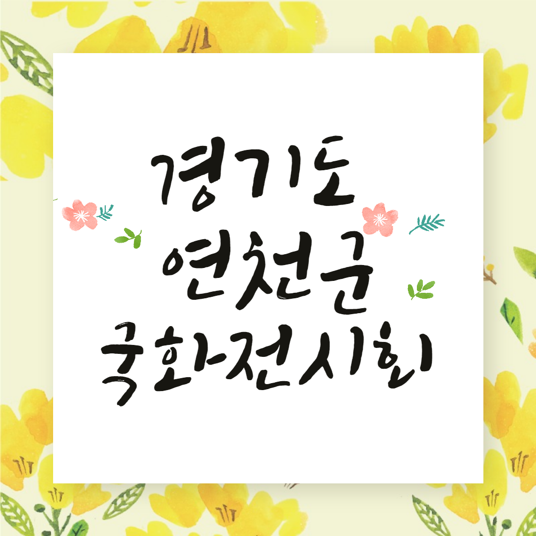 경기도 연천군 국화전시회 가을축제
