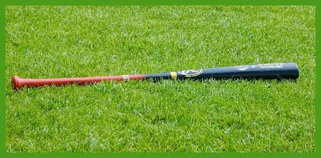 프리미어12 일정