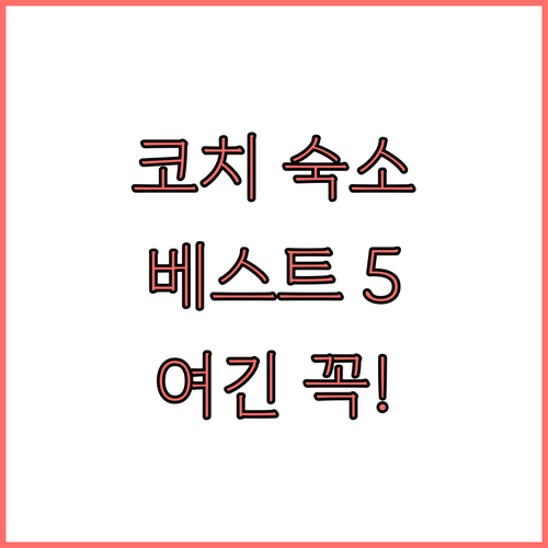 인도 코치 숙소 추천 베스트 5 위치..