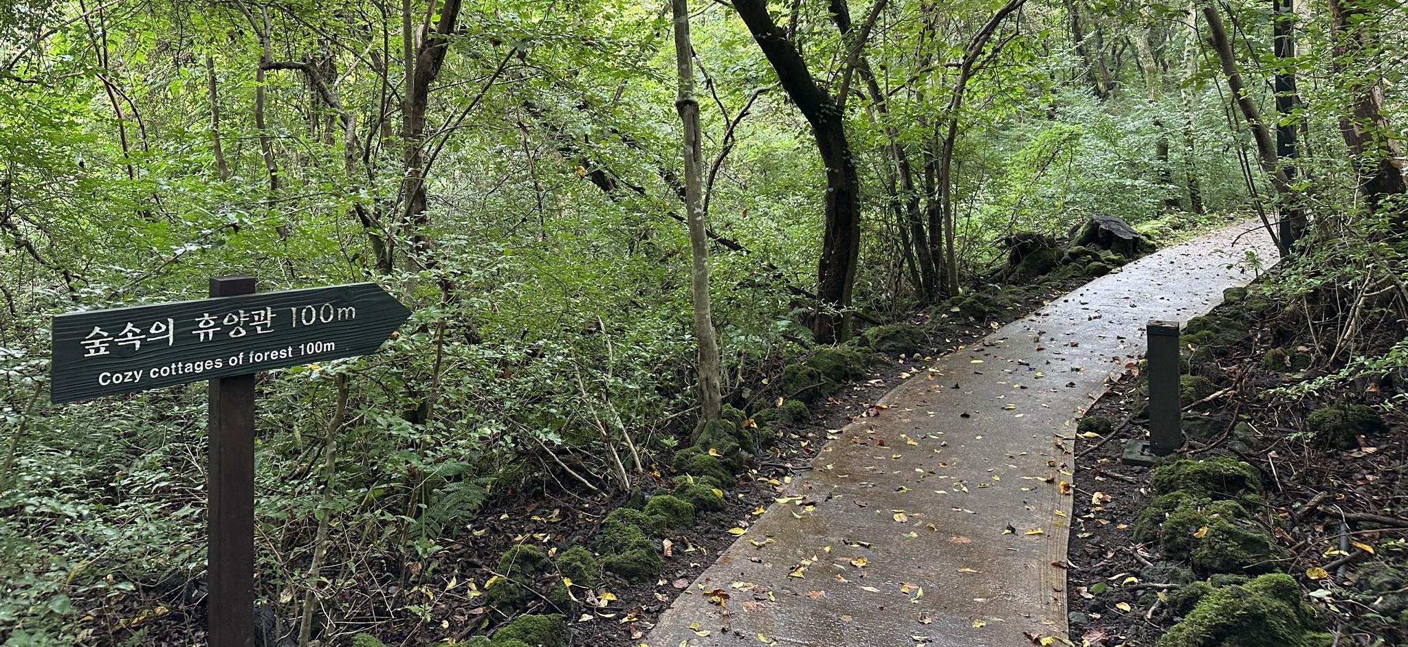 휴양관 가는길