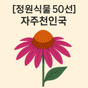 자주천인국의 약용 효과와 조경 활용