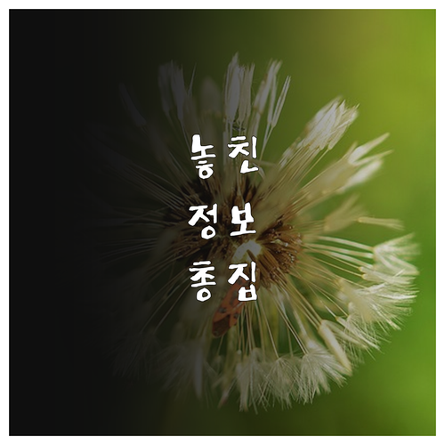 달성군민 다자녀 2025 휴양림 할인..