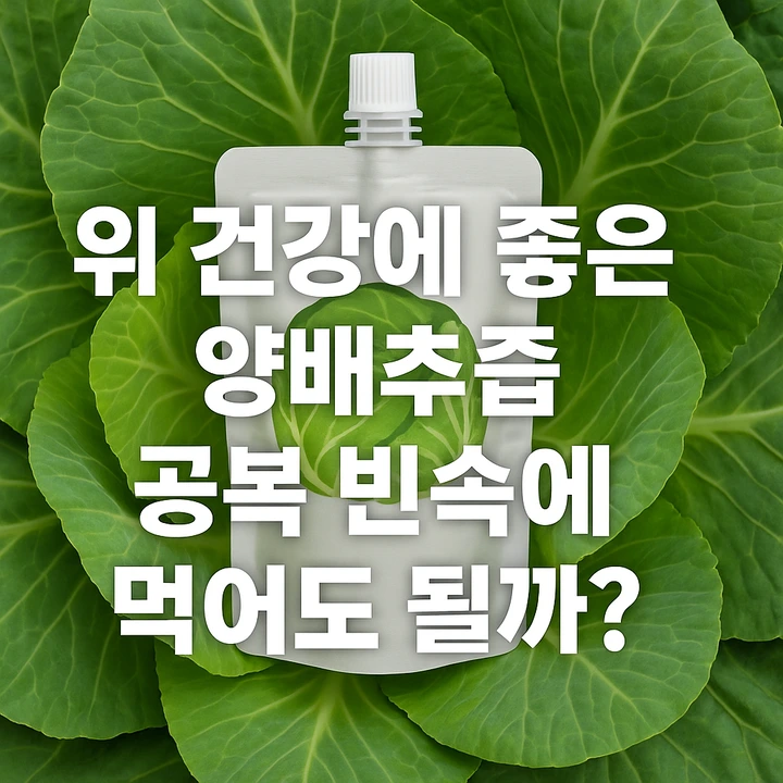 양배추즙_공복빈속
