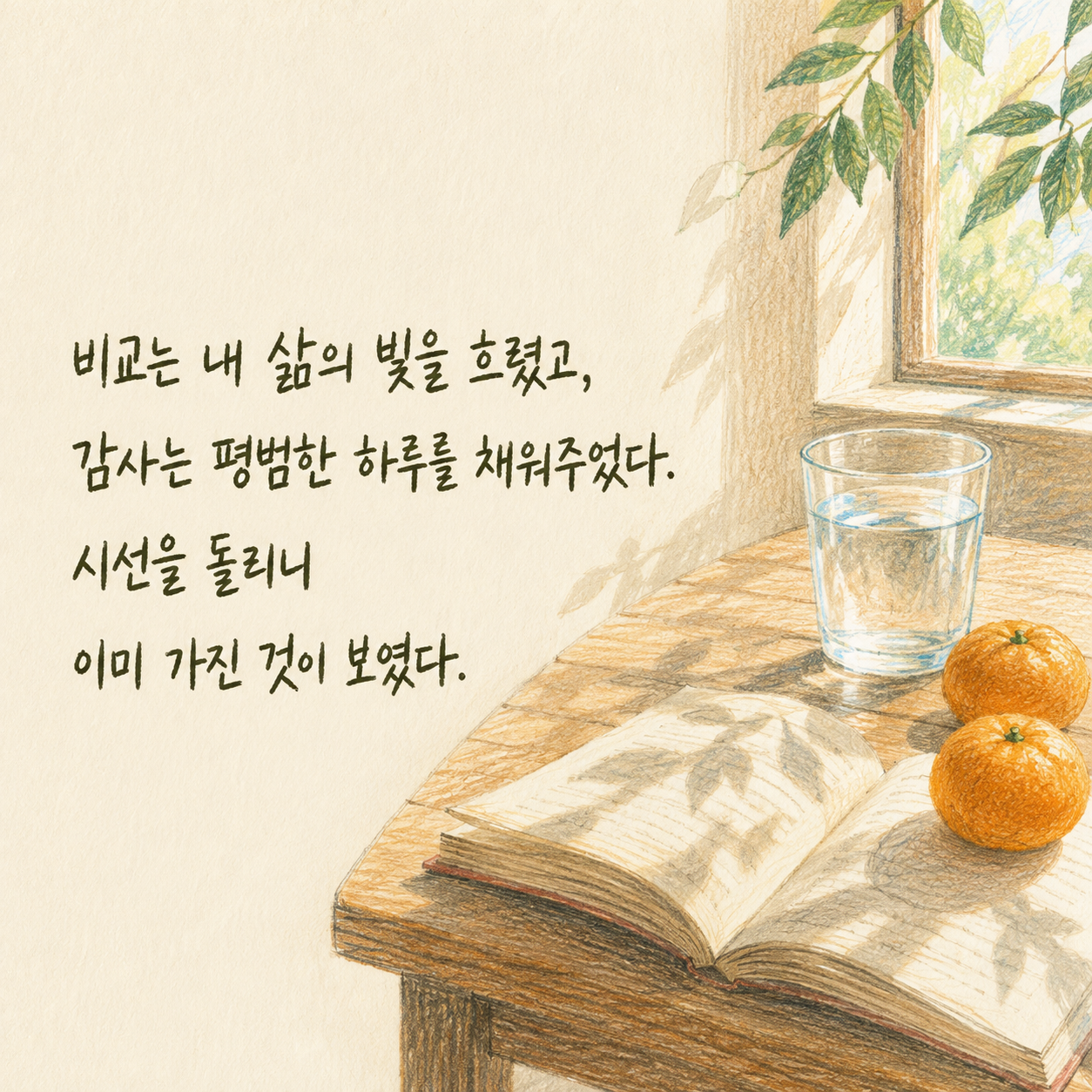 비교보다 감사가 평범한 하루를 채워준다는 인생 명언