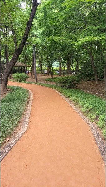 황토길 맨발 걷기 효능과 건강 효과 핵심 정보 정리해보기_31