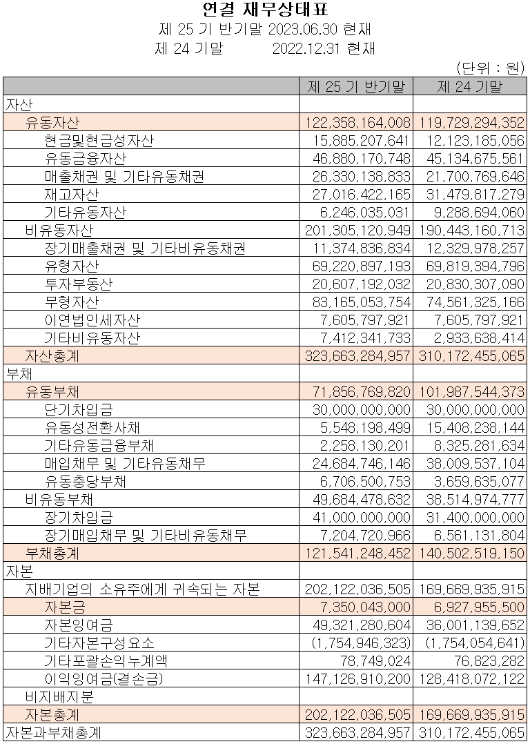 텔레칩스 - 재무상태표