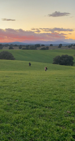 스마트폰 배경화면 잠금화면 자연 풍경 무료 다운로드
