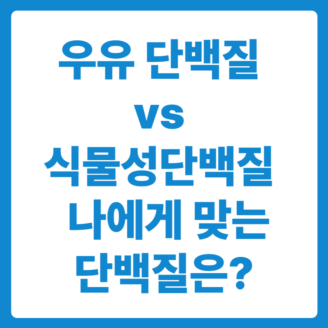 우유 단백질 vs 식물성 단백질 – 어떤 단백질이 내게 맞을까?