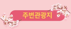 동백꽃쭈꾸미축제