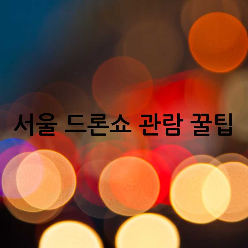 서울 드론쇼 2025