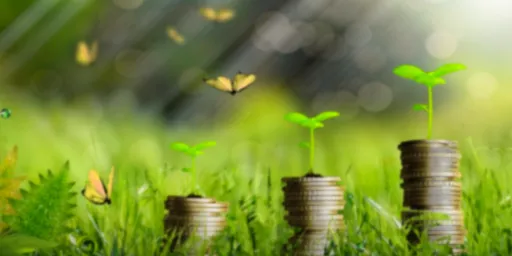 카드포인트 현금화 방법! 놓치면 손해 보는 2025년 최신 꿀팁