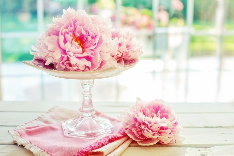 분홍색 큰 꽃 두 송이가 놓여진 사진