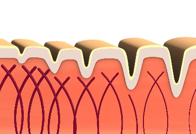 피부의 탄력이 부족해? 그럼 이걸 사용해봐!