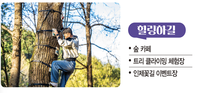 메인 꽃 밭 안내 3