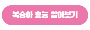 복숭아