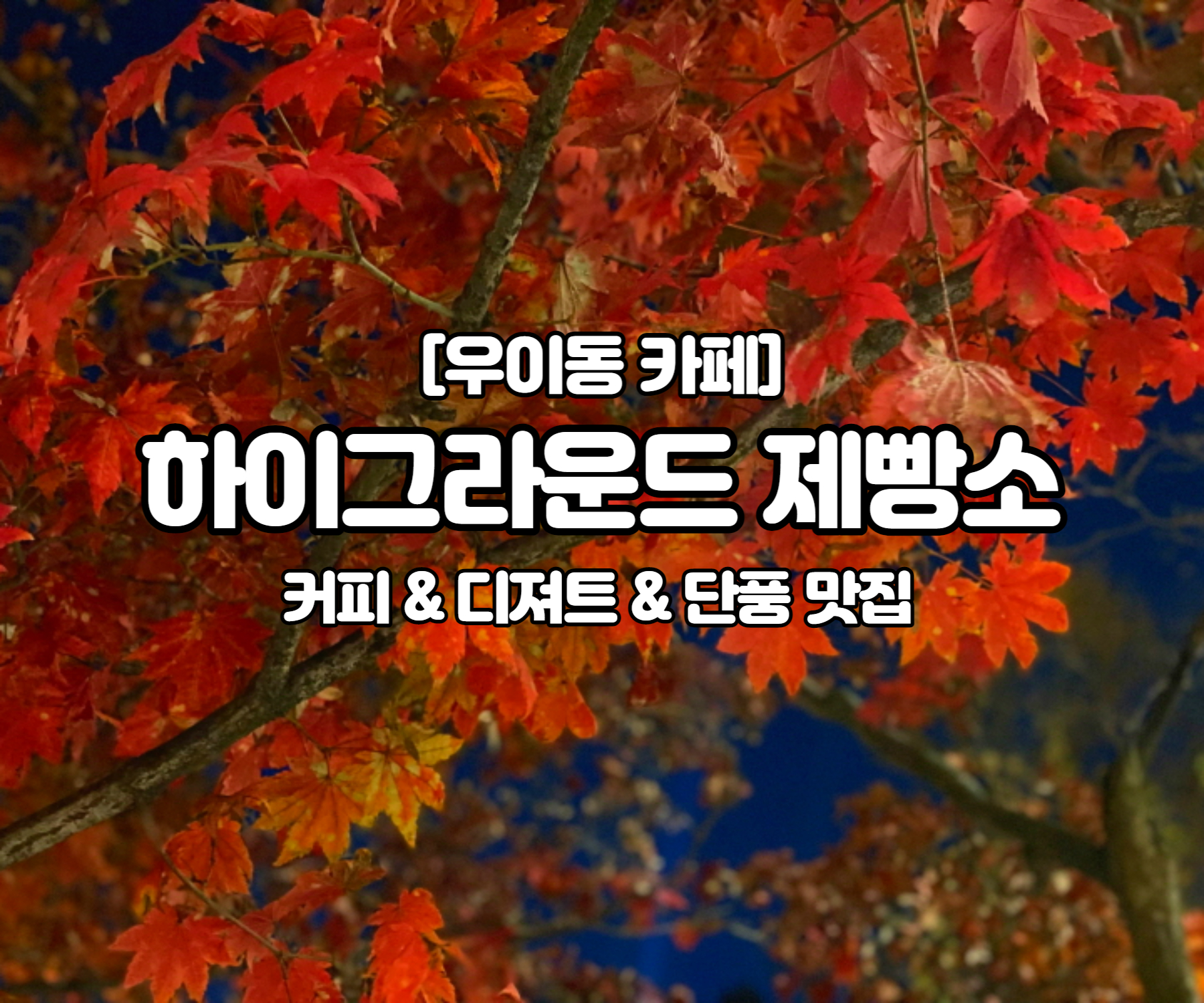 하이그라운드 제빵소