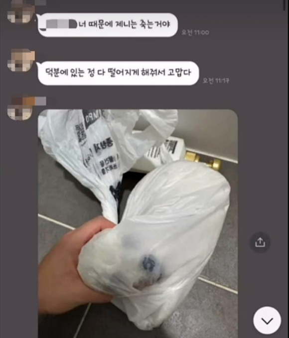 이별을 통보한 여자친구에게 앙심을 품은 20대 남성이 여자친구의 반려견을 쓰레기봉투에 넣어 유기하는 사건이 벌어졌다. 사진은 신고자가 연인으로부터 받은 메시지. [사진=학대견을 돕는 사람들의 모임]