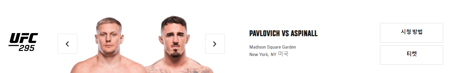 UFC 295