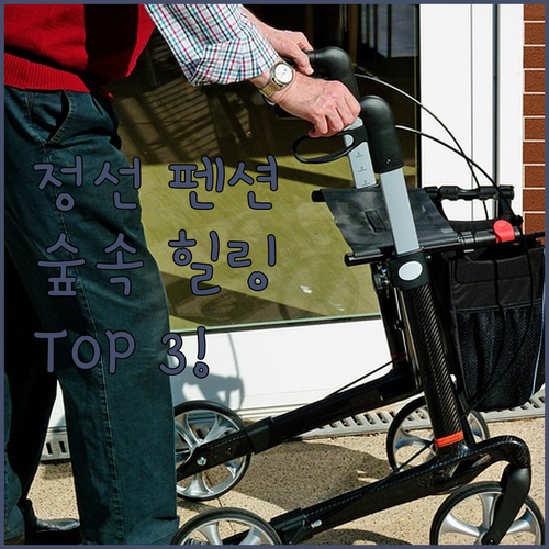 강원도 정선 펜션 추천 TOP 3 조..