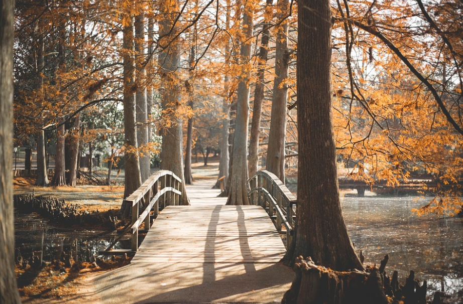 농촌투어패스 구매하고 대중교통 최대 50% 할인! – 혜택, 구매처, 이용방법