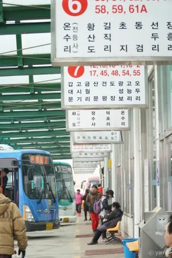 강화여객터미널 시간표 예매 주차장 주변맛집 총정리_3