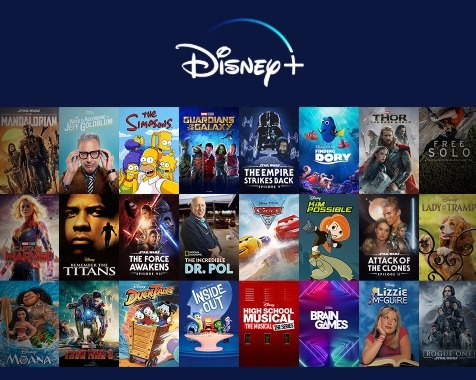 디즈니 플러스 가입 방법 가격 할인