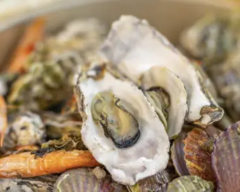 천북 굴 단지, 굴 축제_26