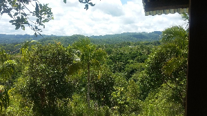 보홀 여행 추천 다나오 어드벤처 파크