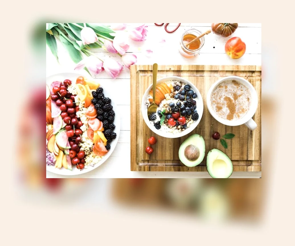 새끼 고양이 건강 관리_2_subsection