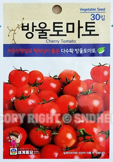 방울토마토 재배 방법_9