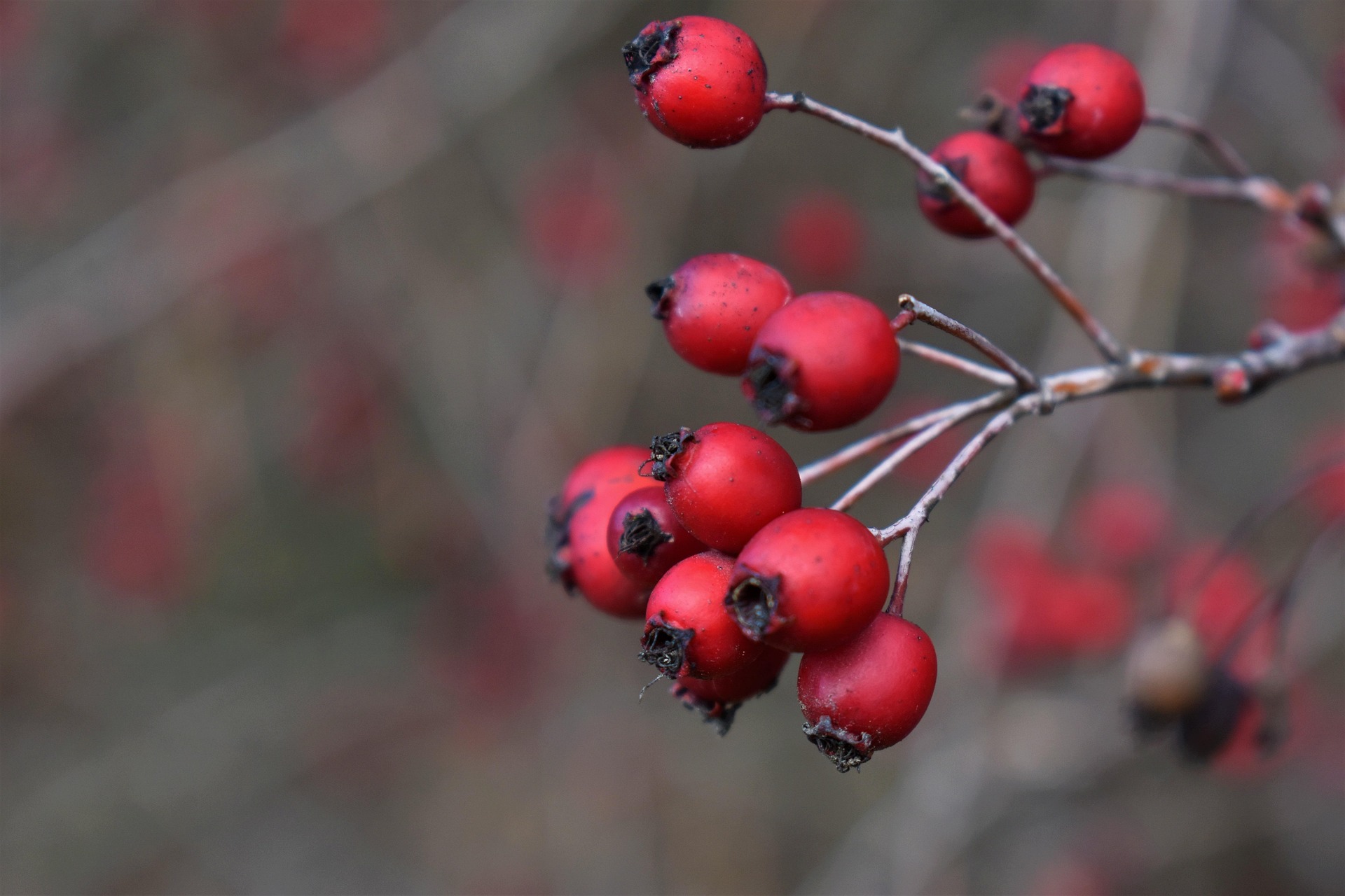 혈당 방어선이 무너질 때, 간 마지막 경계선,간염에서 간경화까지