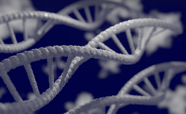 샤르코마리투스병