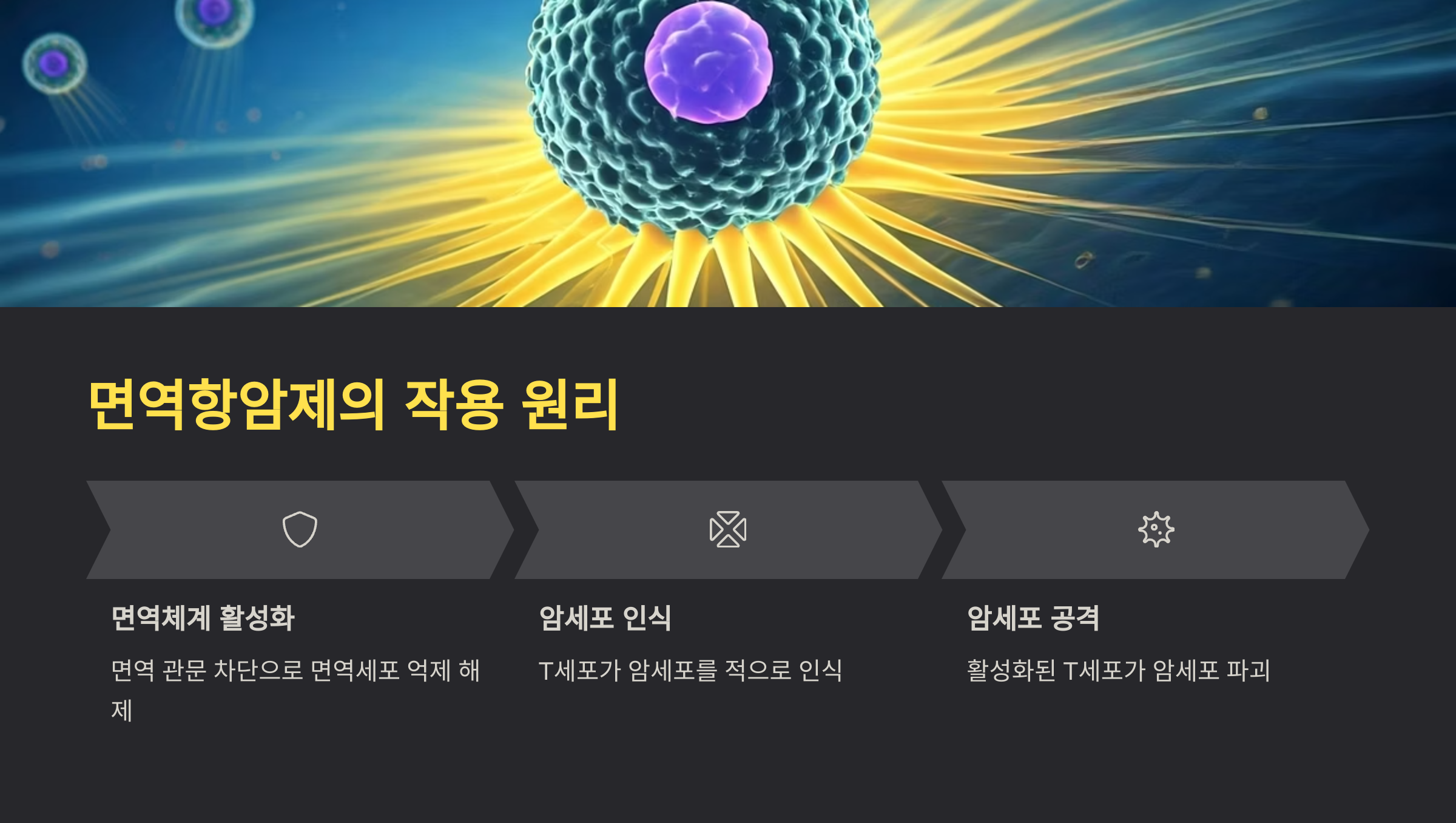 면역항암제의 작용 원리