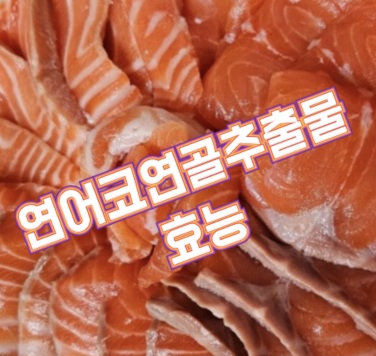연어코연골추출물