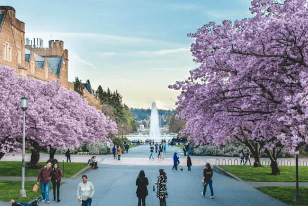 시애틀 여행&#44; 이제 에메랄드 AI에게 물어보세요