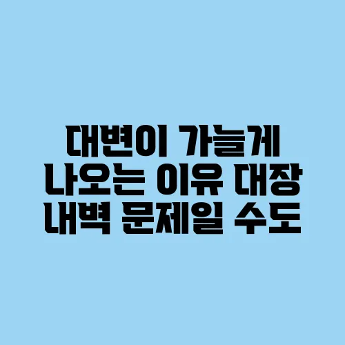 대변이 가늘게 나오는 이유 대장 내벽 문제일 수도