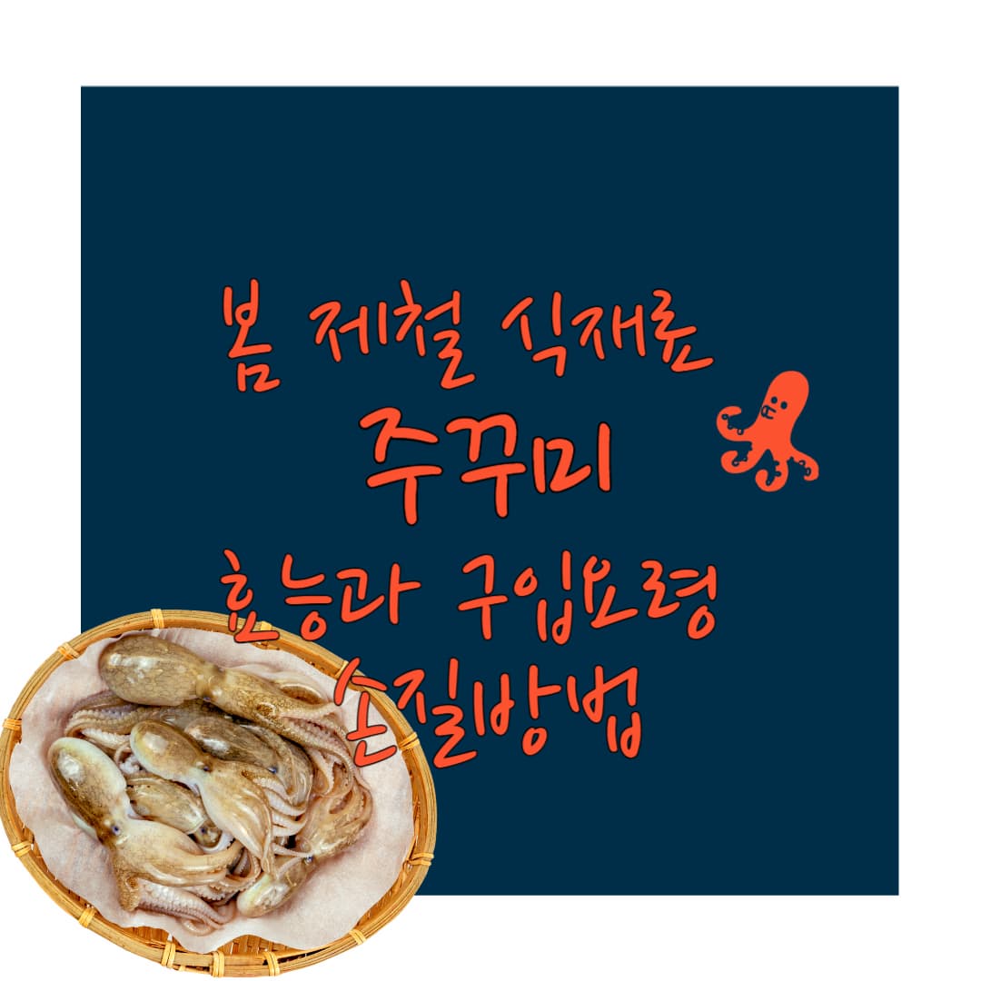 주꾸미효능과구입요령손질방법