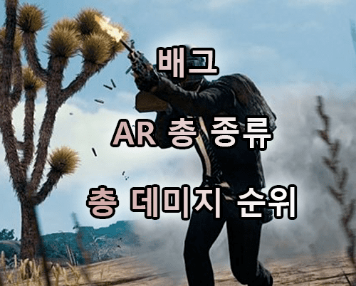 배그 ar총 순위