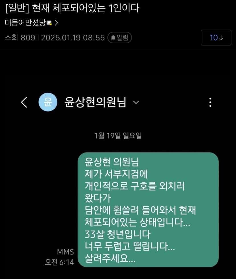 윤석열 윤상현 극우 체포